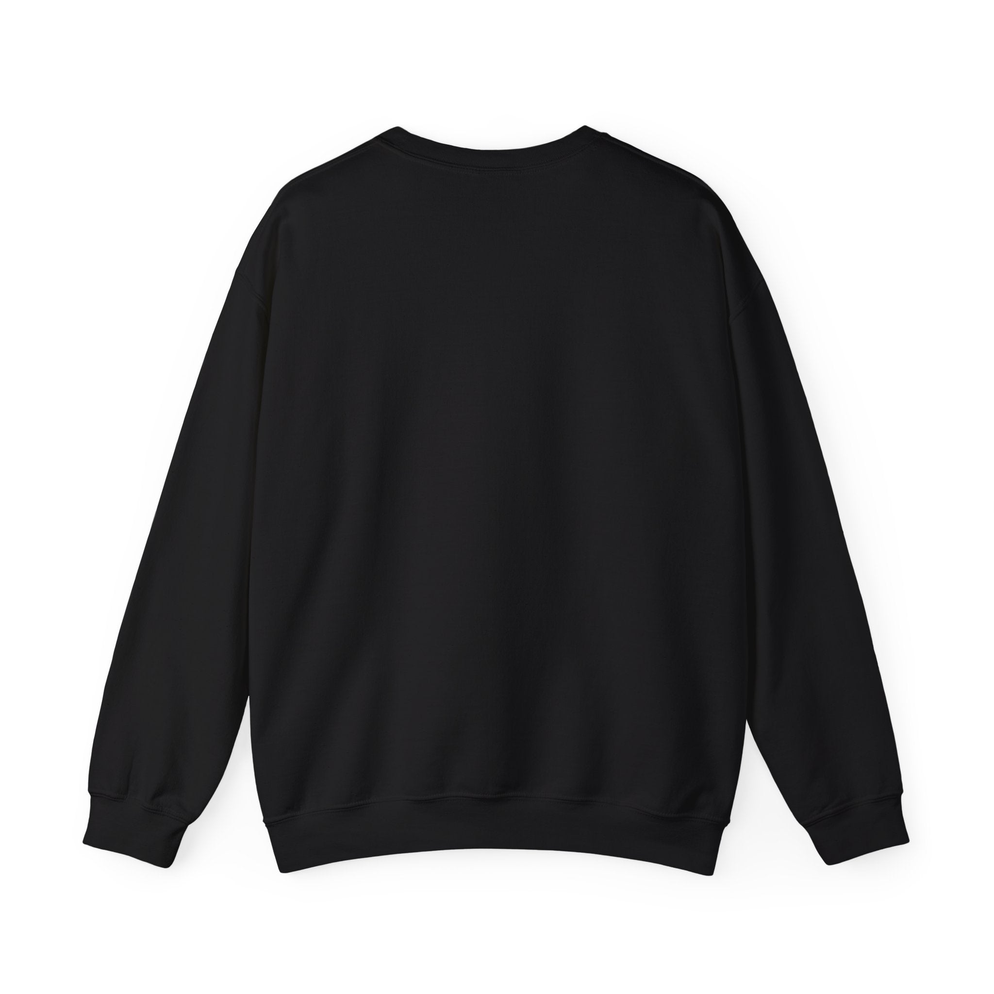 Spectral Doppler Society Sweatshirt
